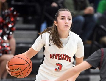 article image - Pauley